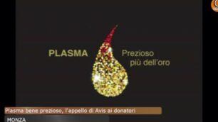 Plasma bene prezioso, l’appello di Avis alla donazione: «Diventi uno stile di vita»