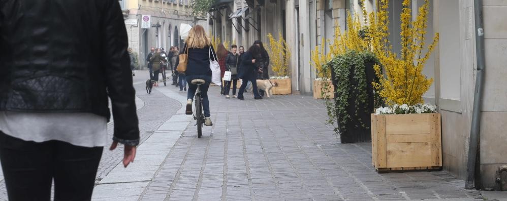 Monza via Carlo Alberto