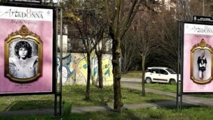 Alcuni dei 26 manifesti esposti a Seregno per "Arte&Donna" in occasione dell'8 marzo