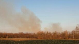 Incendio parco Groane