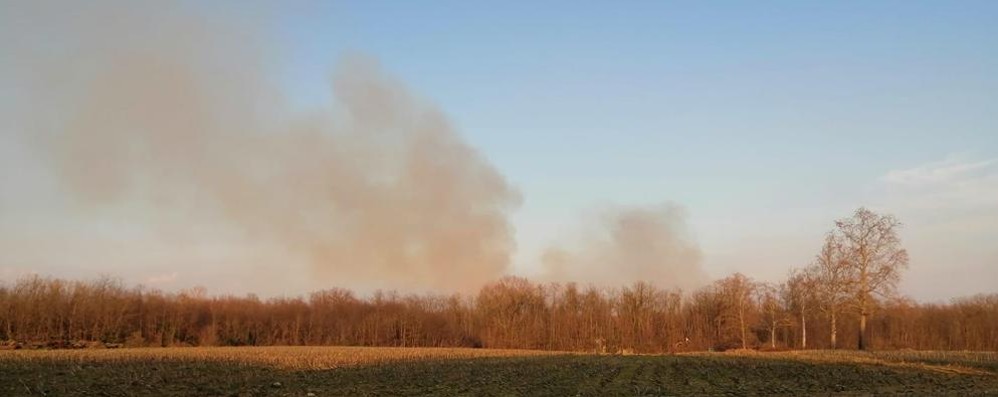 Incendio parco Groane