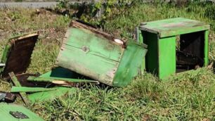 Concorezzo alveare api distrutto