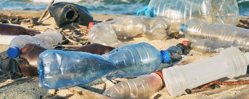 Bottiglie di plastica abbandonate