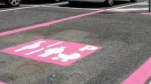 Carate studia parcheggi rosa
