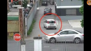 I cannibali delle auto in azione: il video