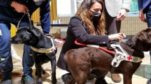 Limbiate assessore Alessandra Locatelli visita centro cani guida