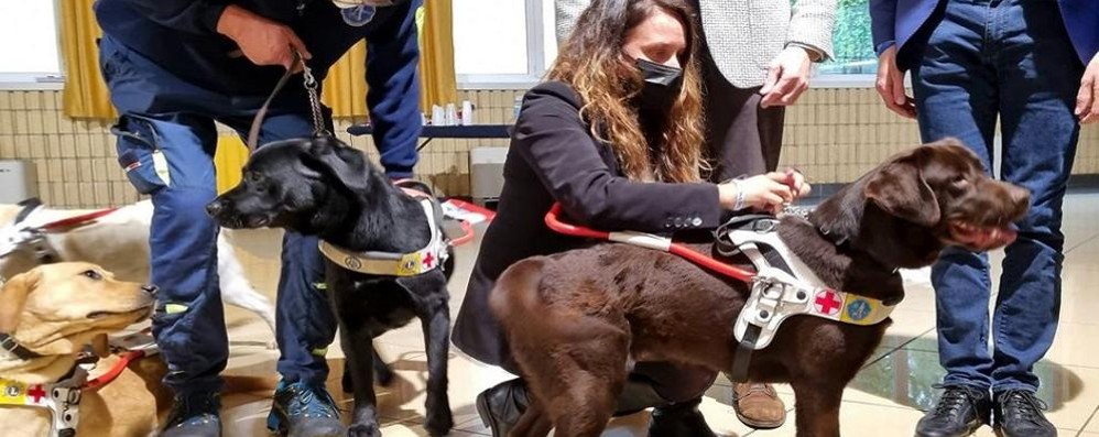 Limbiate assessore Alessandra Locatelli visita centro cani guida