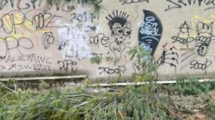 I giardini di via Salvatore Rosa a Lissone
