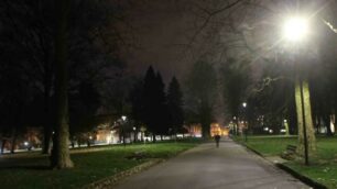 Monza Boschetti reali