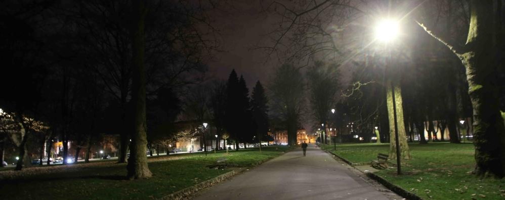 Monza Boschetti reali