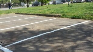 le strisce nuove invvia Pelletier a Monza