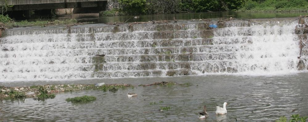 Il fiume Lambro all’altezza dell’oasi di Legambiente