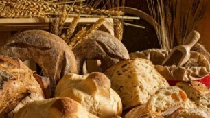 Brugherio pane alimentare Santini