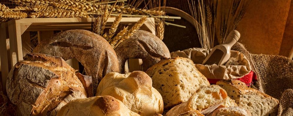 Brugherio pane alimentare Santini