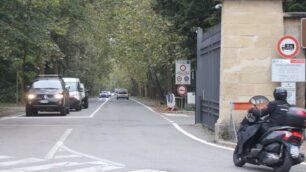 Viale Cavriga nel Parco di Monza