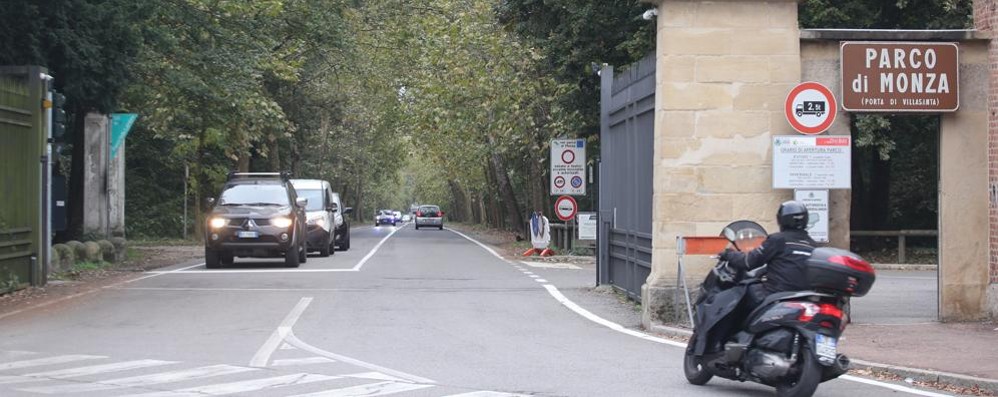 Viale Cavriga nel Parco di Monza