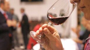 Percorso sensoriale nel vino con Unione ciechi di Monza e Brianza