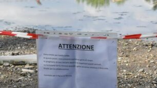 Il cartello che nel parco di Monza segnala la zona cintata per tutela anfibi