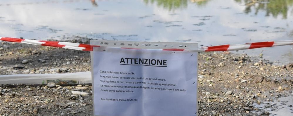 Il cartello che nel parco di Monza segnala la zona cintata per tutela anfibi