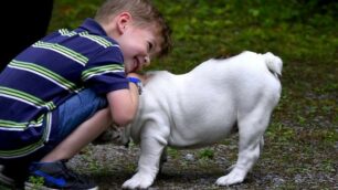 Cane e bambino - foto di Alain Audet/Pixabay