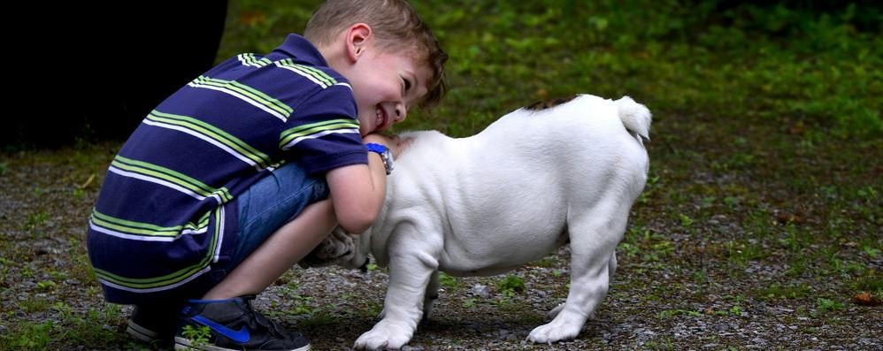 Cane e bambino - foto di Alain Audet/Pixabay