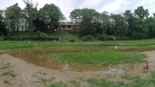 La pozza dei girini nel parco di Monza