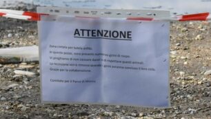Il cartello nel parco di Monza per avvertire della presenza dei girini