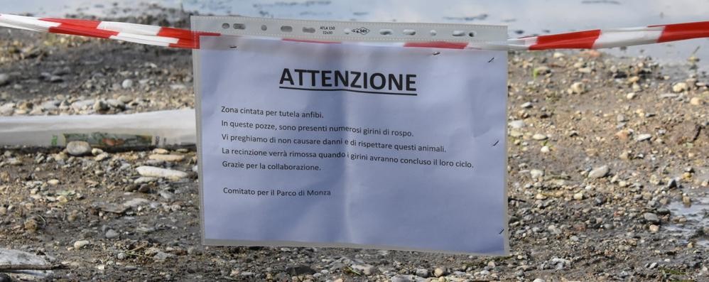 Il cartello nel parco di Monza per avvertire della presenza dei girini
