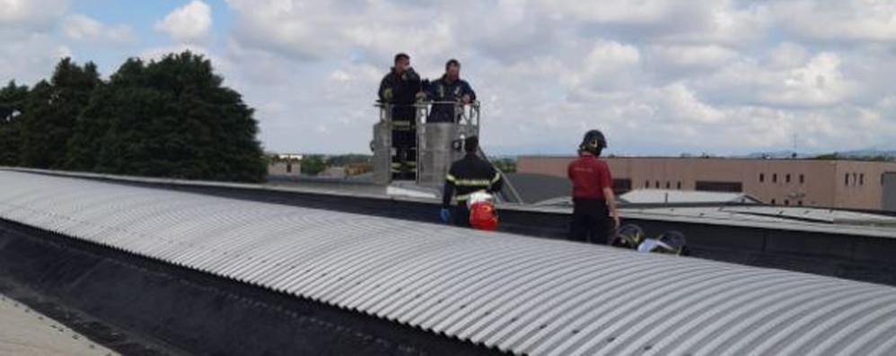I soccorsi dei vigili del fuoco a Ornago