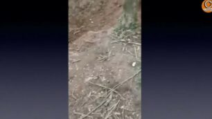 Lissone: il video girato al Bosco Urbano