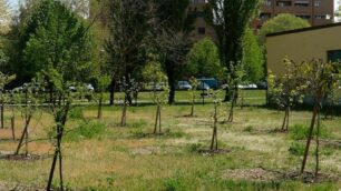 MONZA il parco commestibile con gli alberi da frutta in via pindemonte