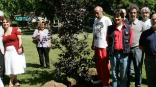 MONZA piantumazione albero a ricordo Peppino Impastato nel 2007