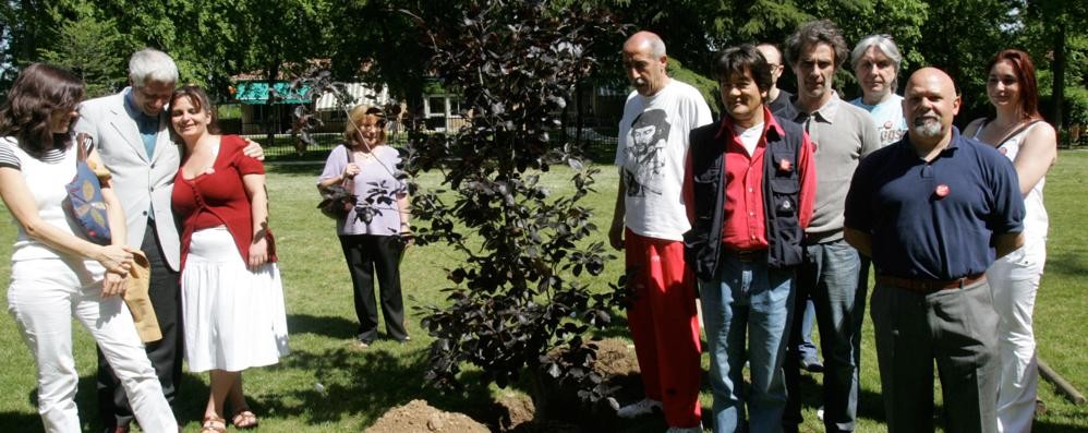 MONZA piantumazione albero a ricordo Peppino Impastato nel 2007
