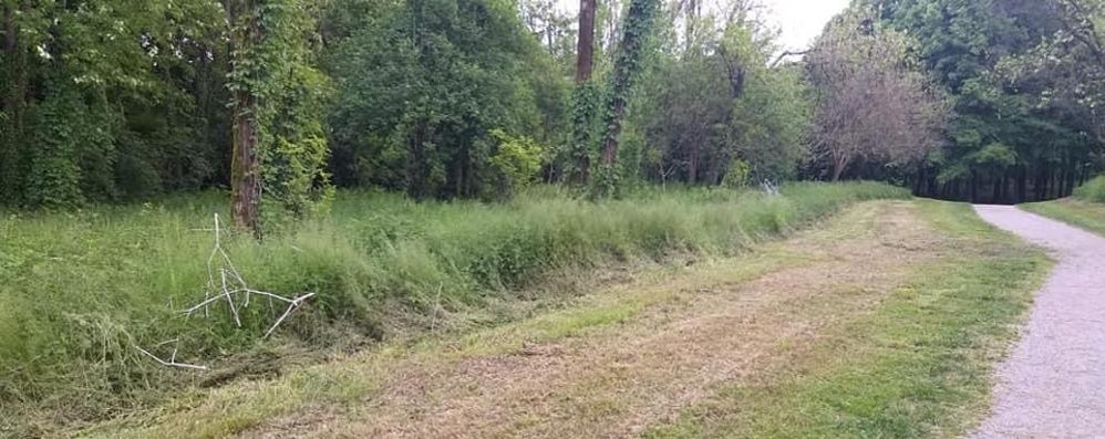 Sfalcio dell’erba al Bosco Urbano di Lissone