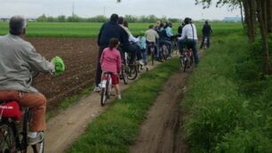 In bicicletta nel verde - foto di repertorio