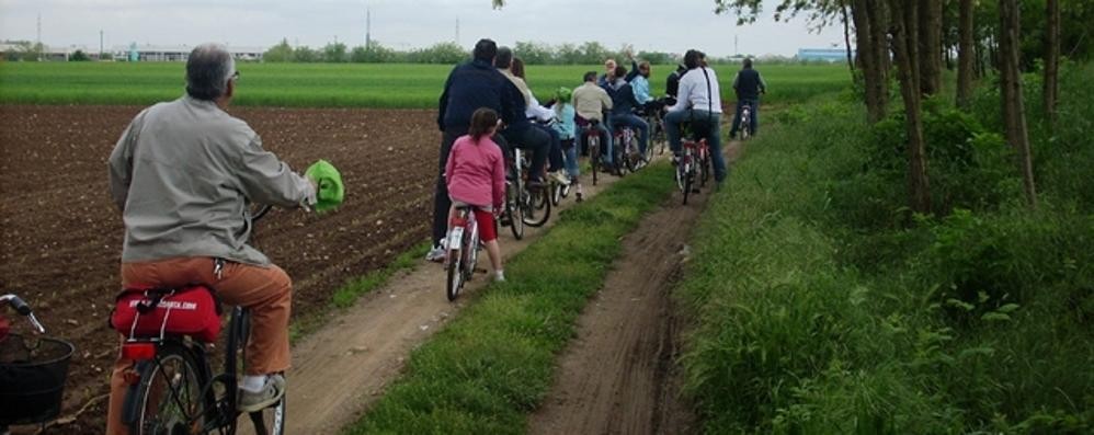 In bicicletta nel verde - foto di repertorio