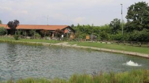 Il laghetto del Bosco Urbano, sullo sfondo il ristorante