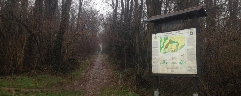 Usmate, il  Bosco della Cassinetta