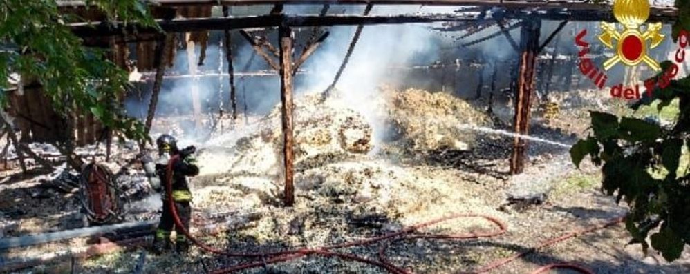 I vigili del fuoco impegnati nel maneggio