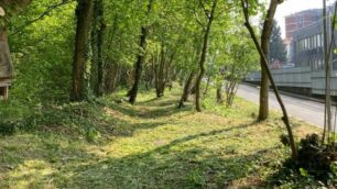 Villasanta: manutenzione del verde in zona Mulini Asciutti