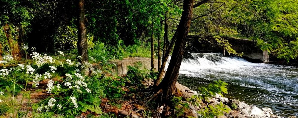 Il fiume Lambro a Monza