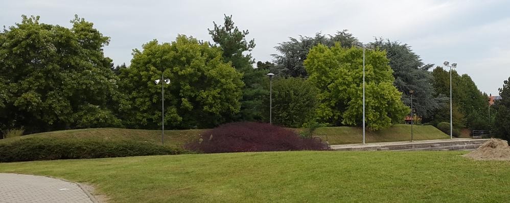 Agrate Parco Aldo Moro