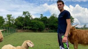 primo invio, luca bianchi con le mucche scozzesi arcore fattoria