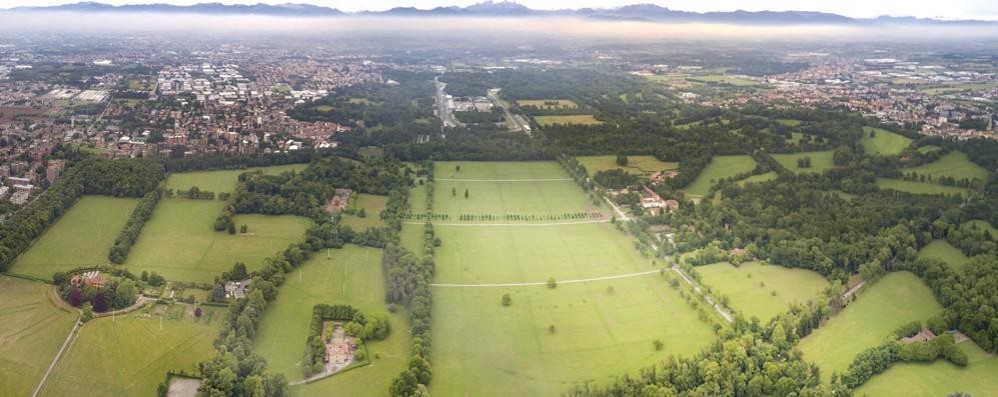 Il Parco di Monza  con vista sulle prealpi lombarde