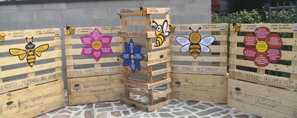 Briosco - installazioni api enjoy