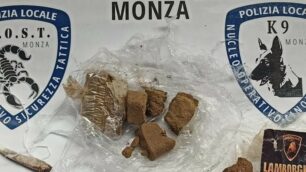Della droga sequestrata