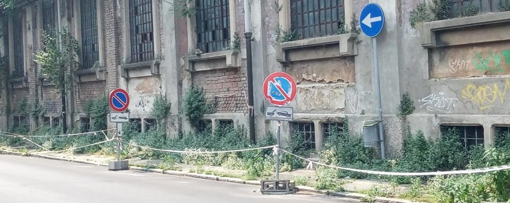 Monza via Galvani edificio ex Enel invaso dalle piante