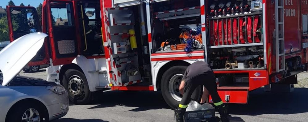 Villasanta Gatto incastrato nel motore al Gigante