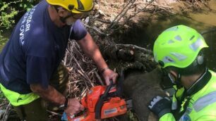 L'intervento della Protezione Civile di Usmate Velate nel torrente Molgora