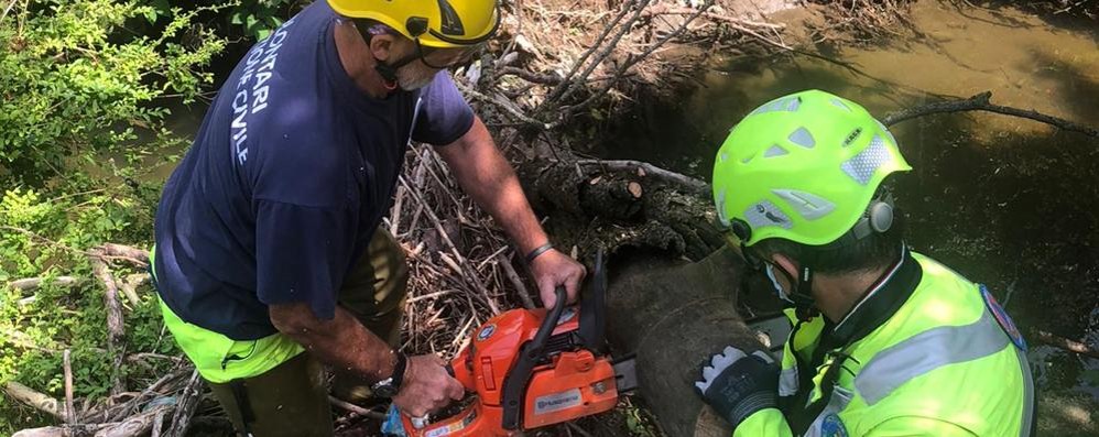 L'intervento della Protezione Civile di Usmate Velate nel torrente Molgora